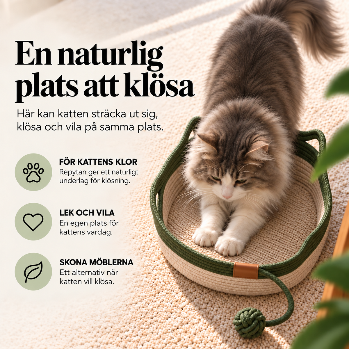 Instinktkorgen | Upptäck ett naturligt revir för innekatter, utvecklat med stöd av forskning